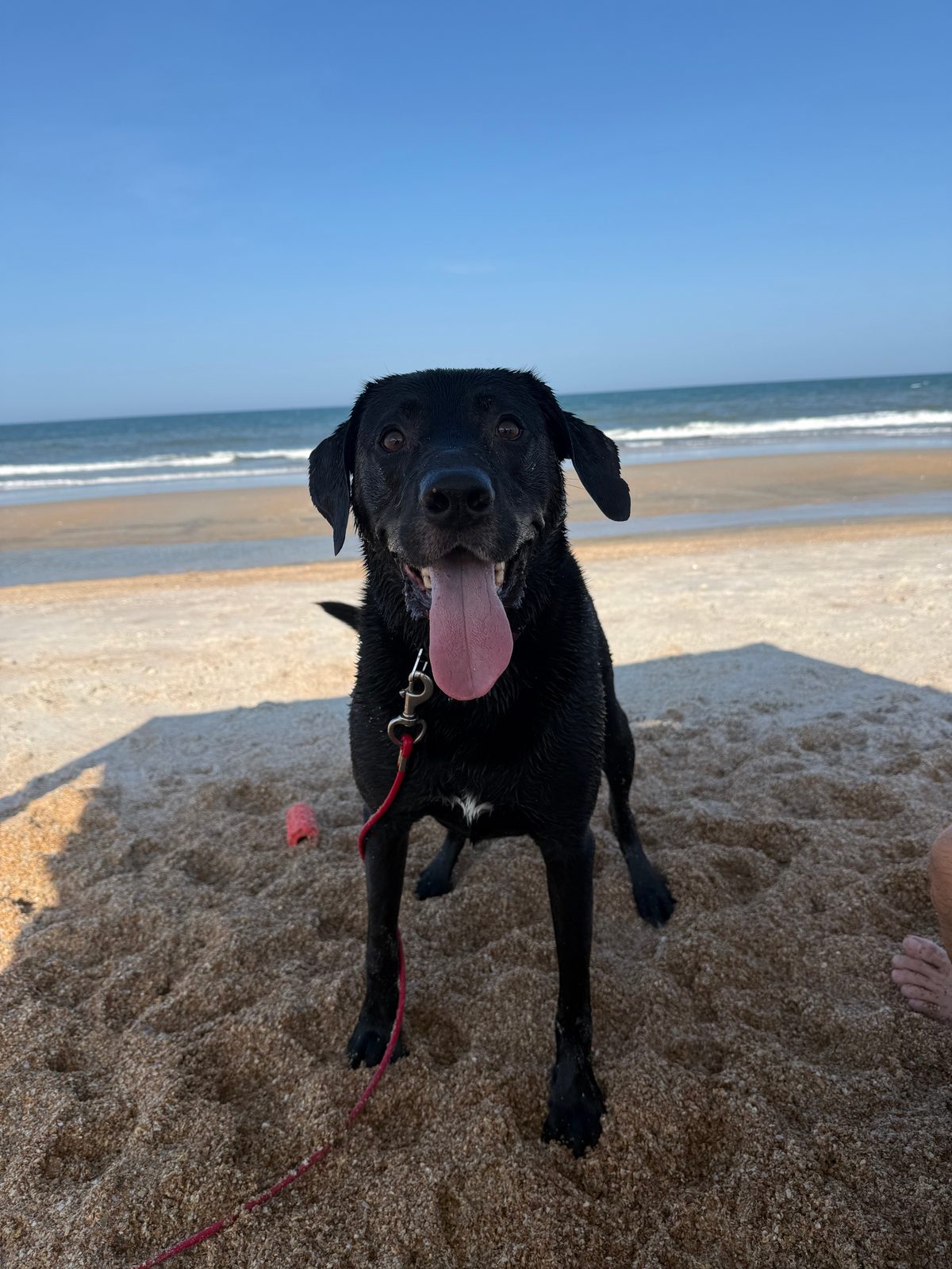 Mac on the beach, grinning, with the ocean behind him