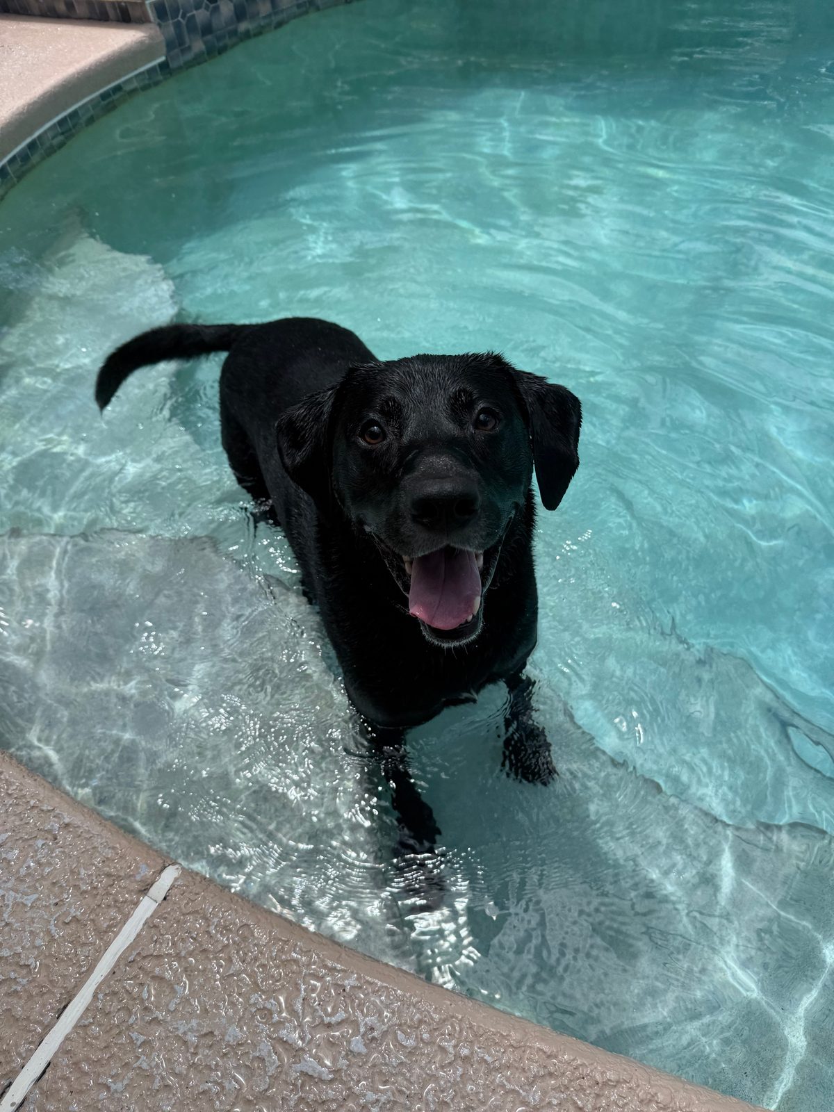Mac standing in the shallow end of a swimming pool
