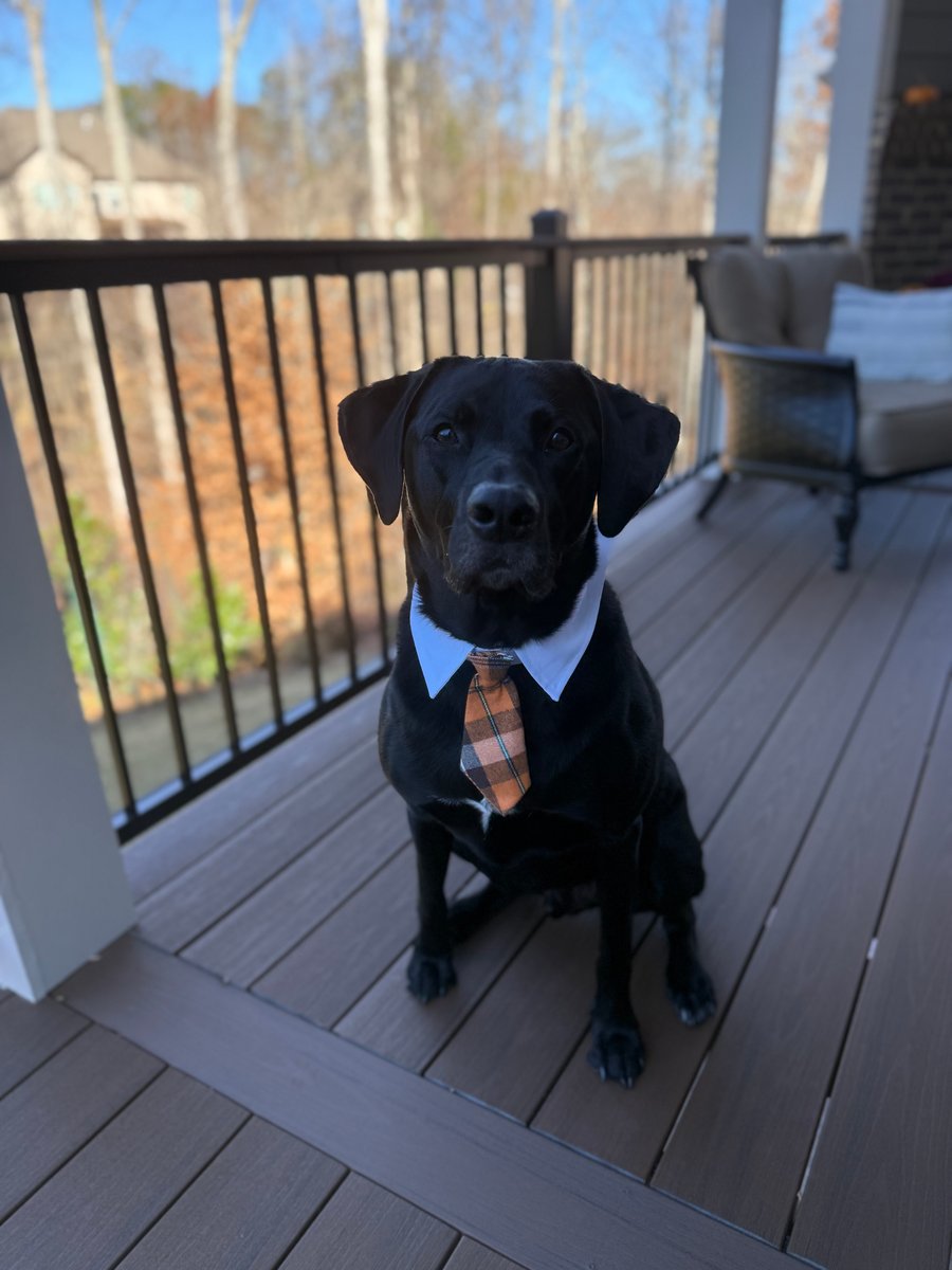 Mac dressed for the occasion in a shirt collar and plaid tie